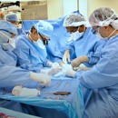 Michigan Surgery Specialists - Physicians & Surgeons, Hand Surgery