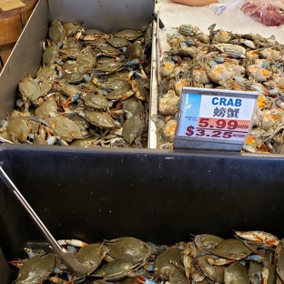 Gold City Supermarket - Flushing, NY