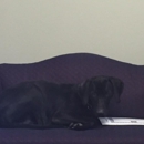 Law Offices of Pawuk & Pawuk