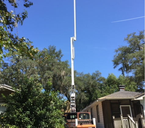 Hamilton Lawn & Tree Service, Inc. - Jacksonville, FL