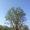 1st Call Tree Service LLC gallery