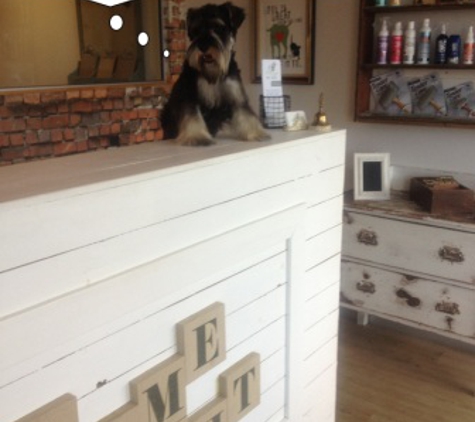 LIMElight Pet Salon - Buddina, QLD