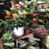 Sunset Gardens gallery