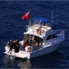 Walker's Dive Charters gallery