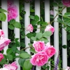 Youngstown Fence Inc gallery