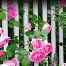Youngstown Fence Inc - Fence-Sales, Service & Contractors