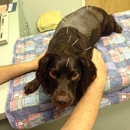 Countryside Animal Clinic - Veterinary Clinics & Hospitals