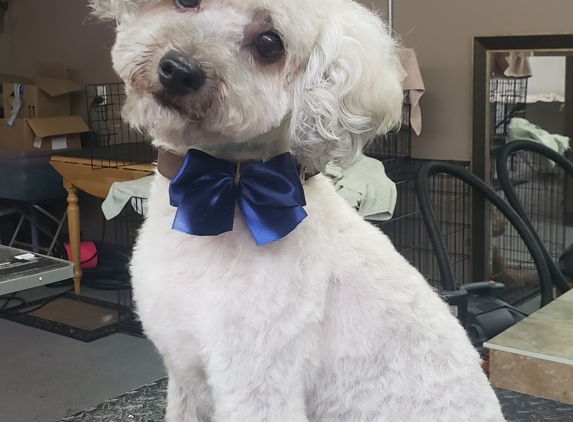 Dapper Dog - East Providence, RI