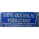 Cary M. Golub, DPM, FACFAS, PC Podiatrist - Physicians & Surgeons, Podiatrists
