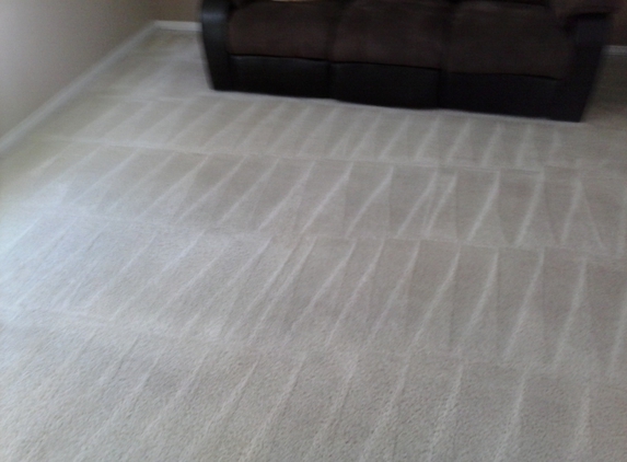 Pro-tect Carpet Cleaning - Hemet, CA
