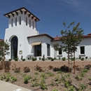 The Vineyards at Paseo Del Sol
