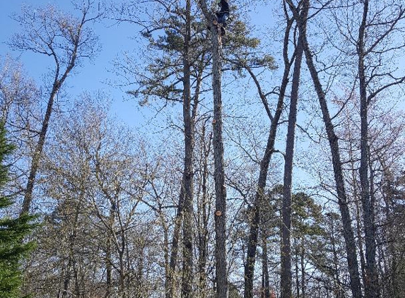 Castro Tree Service, LLC - Apex, NC