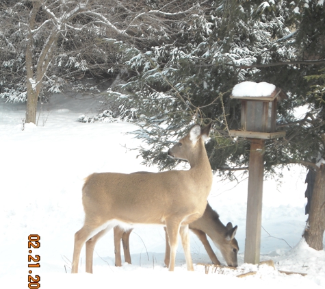 Greentree Farm - Massillon, OH