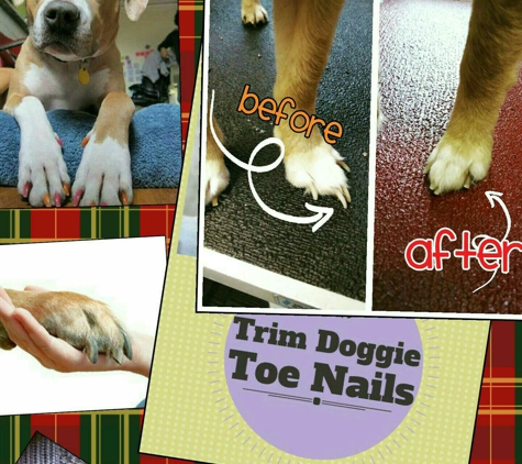 Pretty Paws Pet Salon - Corpus Christi, TX. Let us TAME THE TALONS