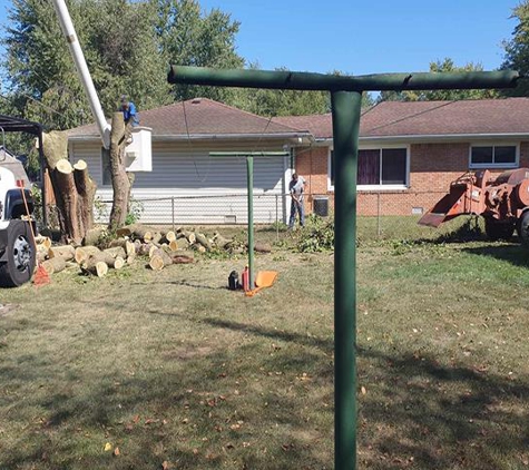 Wolford Tree Service - Tipton, IN