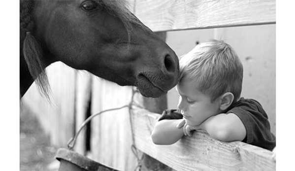 Darkes Forest Riding Ranch - Darkes Forest, NSW