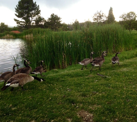 Overland Park Golf Course - Denver, CO