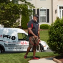 Pest Pro - Pest Control Services