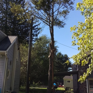 Elite Tree Climbers LLC - Bethlehem, PA