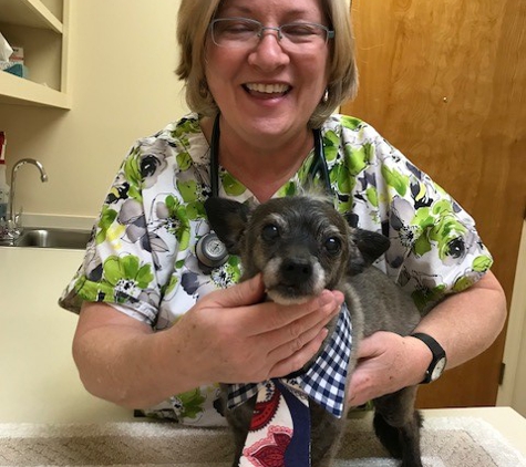 Blanchard Woods Animal Hospital - Evans, GA