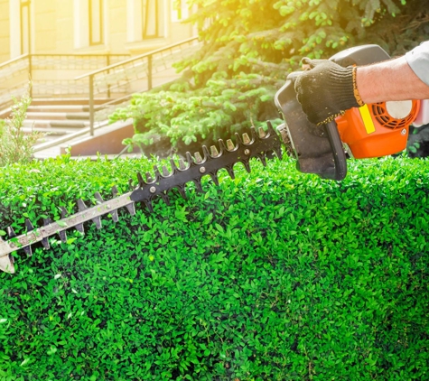 Steiner Lawn Care - Austin, TX