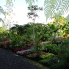 South Kona Nursery