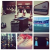 Miami Dolphins LTD gallery