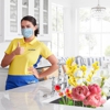 The Maids of San Jose & Milpitas gallery