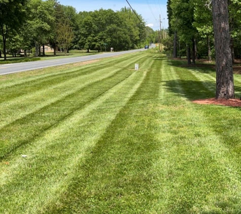 Southern Style Turf & Design - Pineville, NC