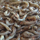 Gulf Atlantic Fisheries - Fish & Seafood-Wholesale