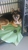 Bark Central LLC - Pet Services