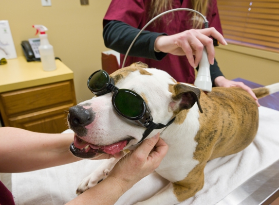 Tranquil Paws Veterinary - New York, NY