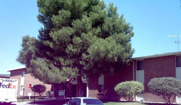 The Lakes Apartments - Tucson, AZ