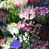 West Village Florists gallery