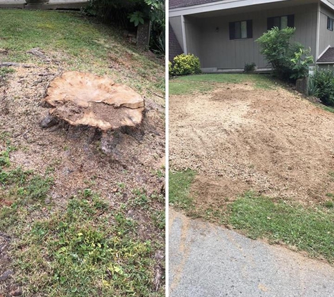 Eagle Stump Removal - Scottsville, KY