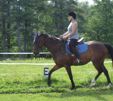 Equi-librium with Dorothy Crosby - Stoddard, NH