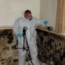 Mold Testing Sciences - Inspection Service