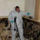 Mold Testing Sciences