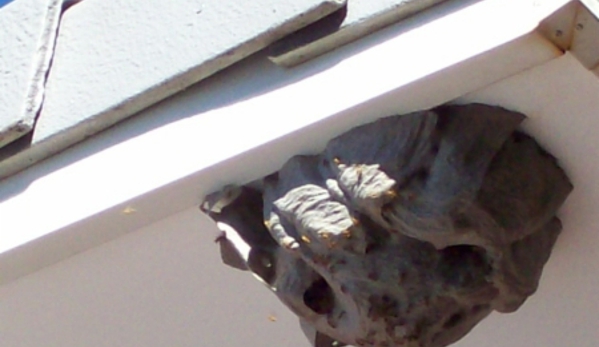Peter The Possum & Birdman Pty Ltd - Newmarket, QLD