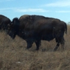 Neal Smith National Wildlife Refuge and Prairie Learning Center gallery