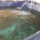 Hickling's Fish Farm Inc - Fish Hatcheries