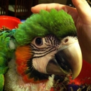 Green Parrot Superstore - Pet Services