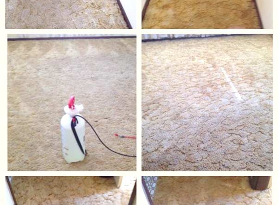 Kombat Carpet Cleaning & Pest Solutions - Quirindi, NSW