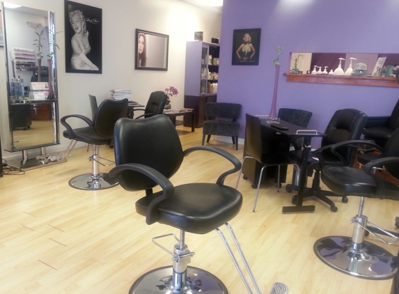 Didi's Hair Design & Spa Inc. - Cutler Bay, FL