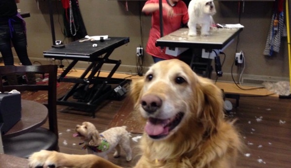 Embark Pet Spa - Milwaukee, WI