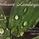 Exclusive landscaping - Landscaping & Lawn Services