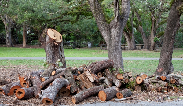 Kai's Affordable Tree Maintenance, LLC - Haleiwa, HI