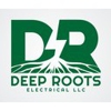 Deep Roots Electrical gallery