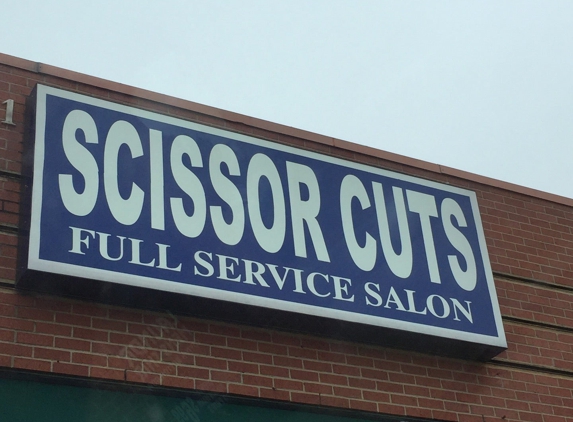 Scissor Cuts - Arlington, TX