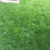 Green Envy Lawn Care gallery